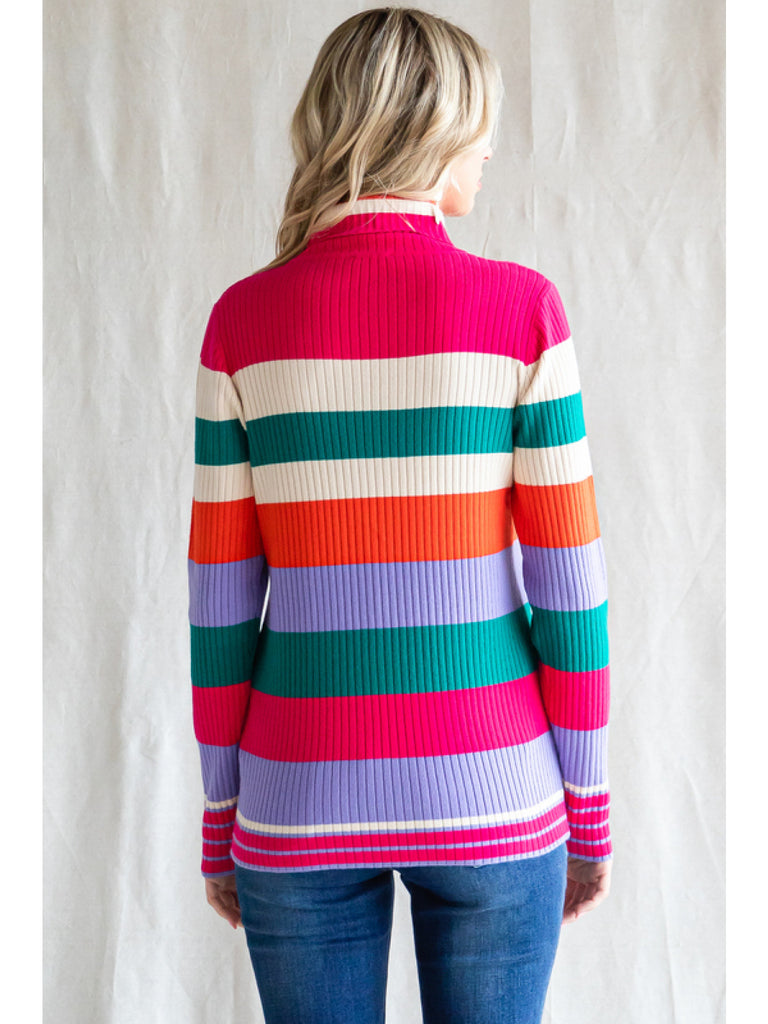 Colorblock Turtle Neck Sweater