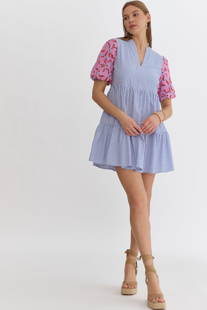 Chambray Striped Embroidered Dress
