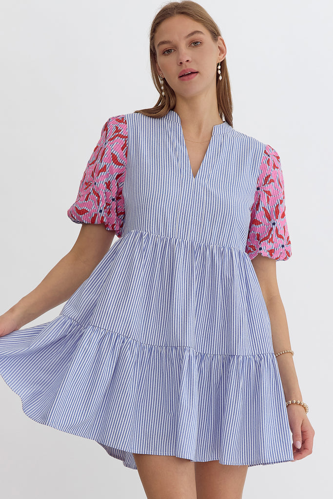 Chambray Striped Embroidered Dress