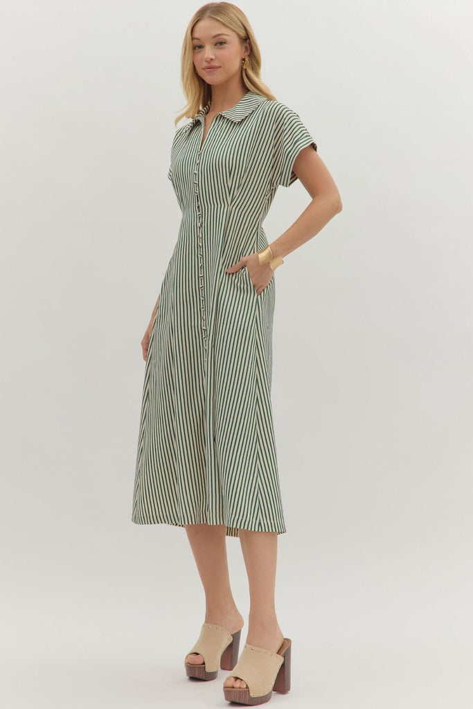 Green Striped Dolman Savannah